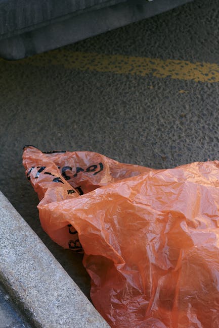 A patch of ground covered with scattered debris, including flattened cardboard boxes, some with printed designs and labels, and crumpled paper waste. The cardboard varies in color from brown to dark g